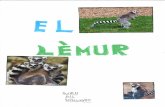 TEXT EXPOSITIU: El Lèmur