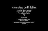 Fotografía Naturaleza El Salitre - Bogotá