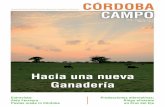 Córdoba Campo Nº 06