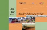 Itapúa: Características demográficas y socio - económicas - 2002
