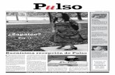 Journal PULSO n° 2 - 06/2013