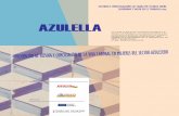 Publicación proyecto Azulella