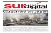 Diario Sur Digital Nro. 346 - Marzo 2011