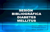 Sesion Bibliografica sobre Diabates Mellitus