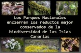 No al desmantelamiento de los Parques Nacionales canarios