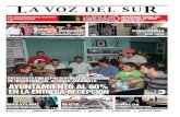 Voz del Sur de Sinaloa Vol. LIII