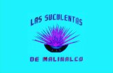 Las Suculentas, Malinalco