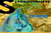 Zamorano Promueve la  Producción de Tilapia en Centroamérica