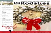 Rodalies desembre 2010