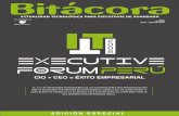 IT Executive Forum 2008