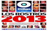 REPORTE INDIGO 020113