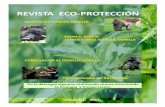 Revista Eco-Protección