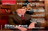 Paso Peruano Edición 5