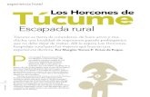Los Horcones de Túcume