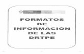 FORMATOS DE INFORMACION DE LAS DRTPE