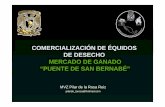 COMERCIALIZACIÓN DE ÉQUIDOS DE DESECHO MERCADO DE GANADO “PUENTE DE SAN BERNABÉ”