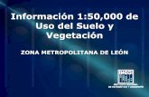 INEGI LEON USO DE SUELO Y VEGETACION 50000 SISTEMA