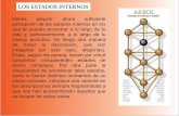 Los Estados Internos  - "El Arbol" Diagrama de Moradas y Caminos.Silo