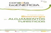 Conecta Bioenergia 2012 TURISMO