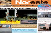Periódico Noreste de Guanajuato edición 614