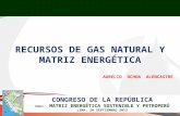 Recursos de Gas Natural y Matriz Energética