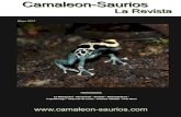 camaleon-saurios mayo 2013