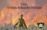 Incendios Forestales Teoría