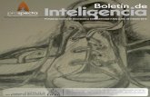 Boletín de Inteligencia Diciembre 2011