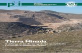 Boletín 31 - Tierra Minada - Noviembre 2011