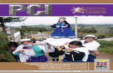 Revista PCI 5