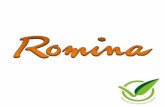RominaColombia 1.12 Marzo