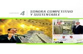 Sonora Competitivo - Informe 2013