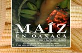 Maiz en Oaxaca