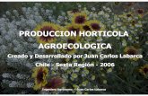 Produccion Horticola Agroecologica Al Aire Libre