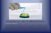Practica Laboratorio de Química Bachillerato