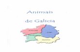 Animais de Galicia