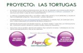 Projecte "Les Tortugues".  Educaci³ Infantil * P-3