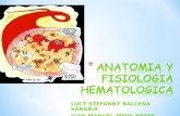 anatomia y fisiologia hematologica