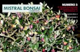 mistral bonsai 3