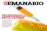 Semanario: Alerta Greenpeace sobre transgénicos en La Laguna