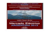 LatAm Power Series: MERCADO ELÉCTRICO ARGENTINA 2013