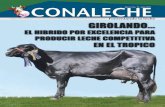 Revista Conaleche No.13