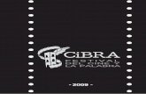 Resumen Festival CiBRA 2009