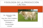 Fisiología de la Producción de leche