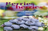 Berries & Cherries - Edición 21, Octubre-Noviembre 2013.