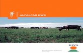Catalogo de alfalfas 2011