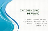 Indigenismo Peruano: Actividades