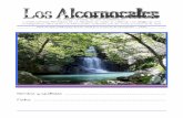El Parque Natural de los Alcornocales: el libro de los niñ@s de 4ºB - Abril 2011
