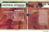 mistral bonsai 6