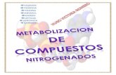 METABOLIZACION DE COMPUESTOS NITROGENADOS